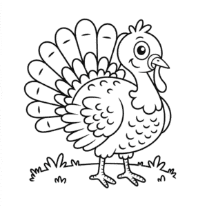 Dibujo de Pavo Básico para Colorear